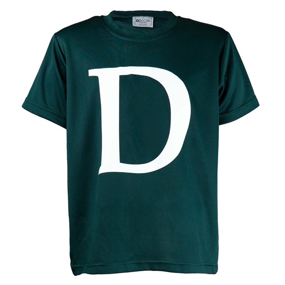 Dromorne House/PE Top 